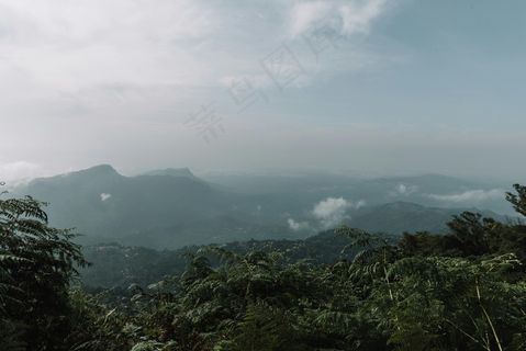 迷雾缭绕的山间清晨 迷雾缭绕的山间清晨