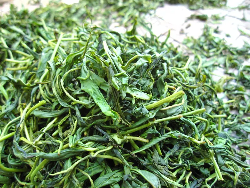 户户外绿色茶叶