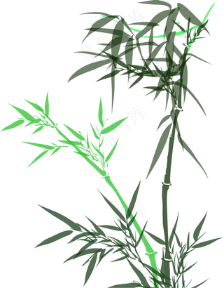 中国风水墨竹子图片古风竹叶竹林水彩手绘插画PNG免扣设计