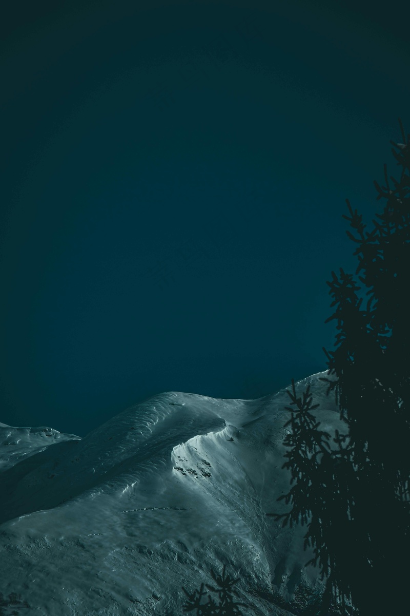 雪夜静谧的山脉与松树
