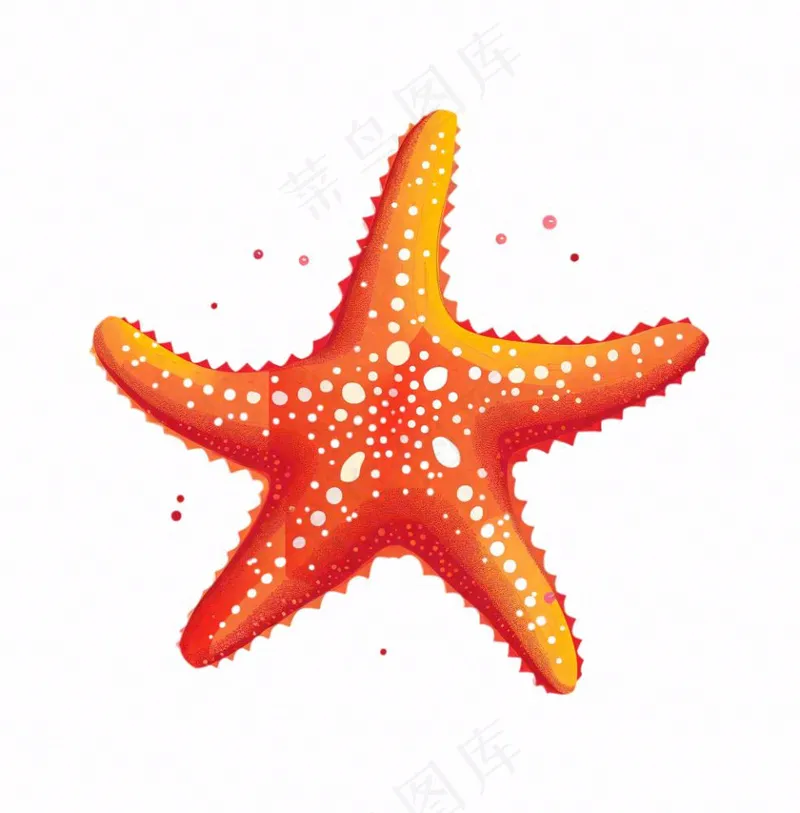 海星海洋卡通插画免抠(1024x1040)