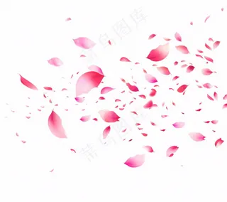 花瓣桃花樱花飘零插画免抠