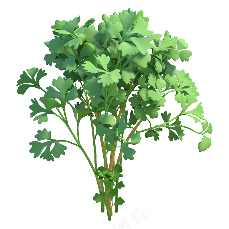 免抠卡通香菜