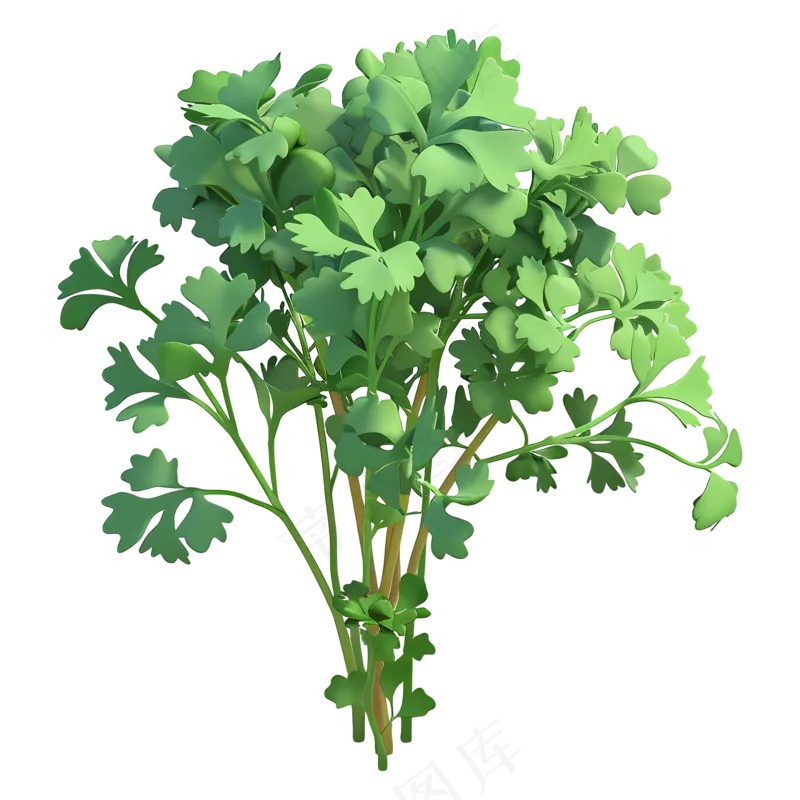 免抠卡通香菜
