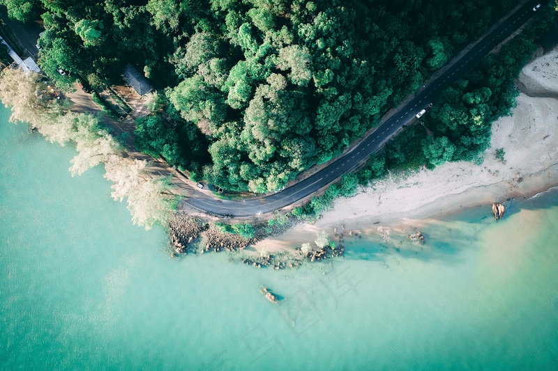 森林与海边接壤着的公路