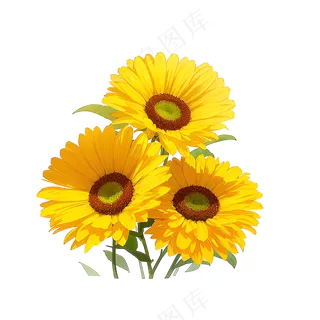 黄色向日葵花朵免抠素材45