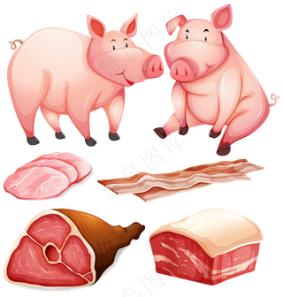 猪 猪脚 猪肉