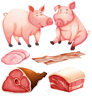 猪 猪脚 猪肉