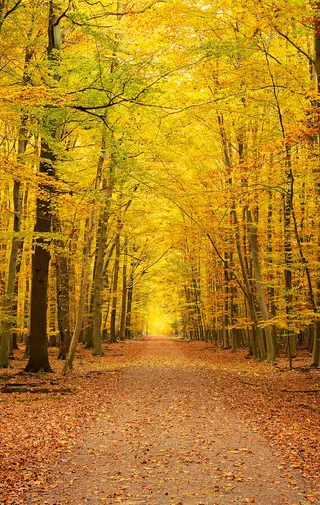 高清个性创意壁纸 (95)