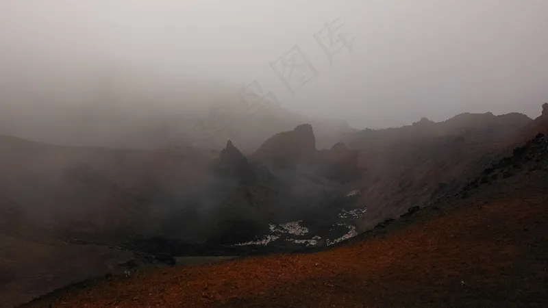 云雾森林图片
