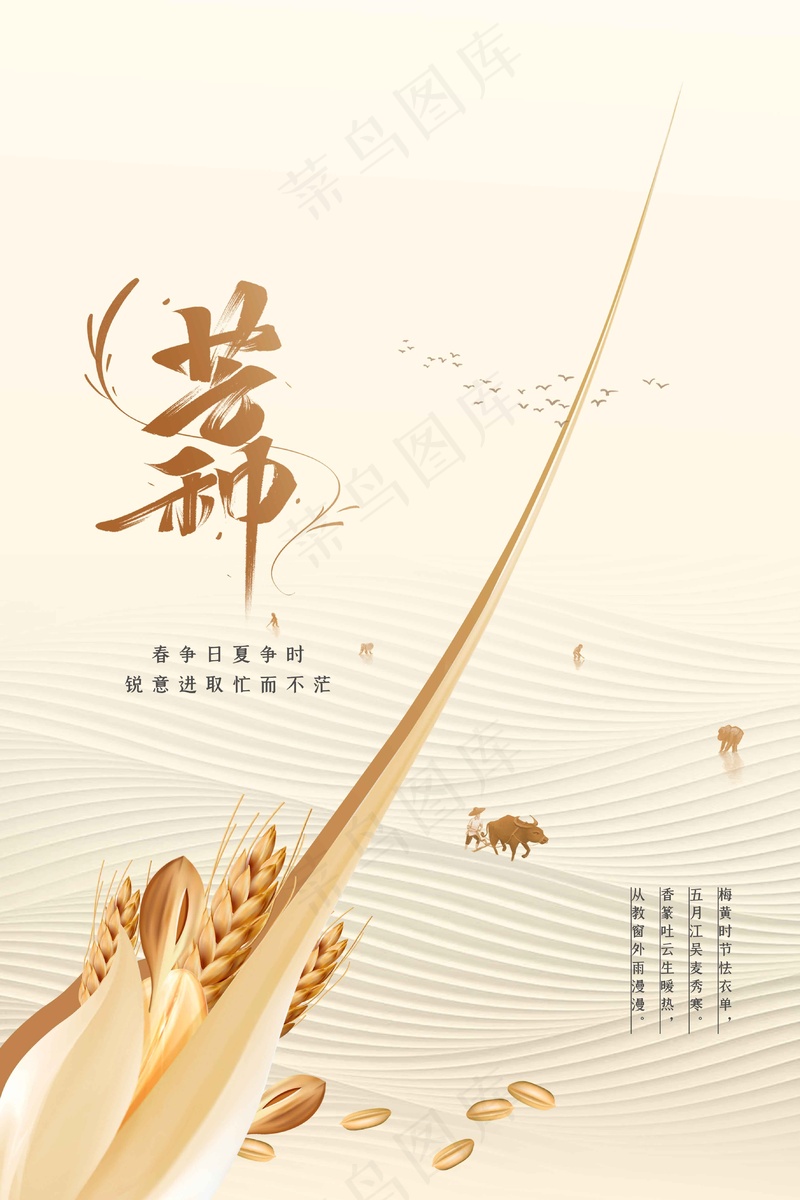 芒种节气传统活动海报psd模版下载