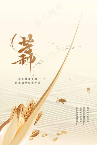 芒种节气传统活动海报