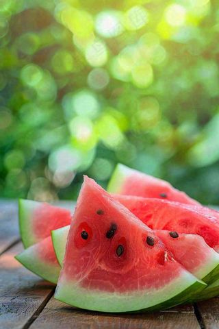 夏日避暑西瓜大树下阴凉立夏大暑小暑夏至摄影图