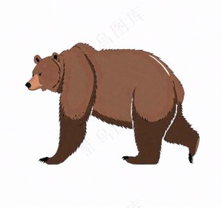 棕熊大熊动物卡通插画免抠