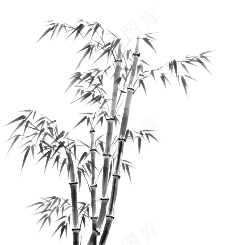竹林竹叶水墨画古风黑白插画免抠(1024x1024)