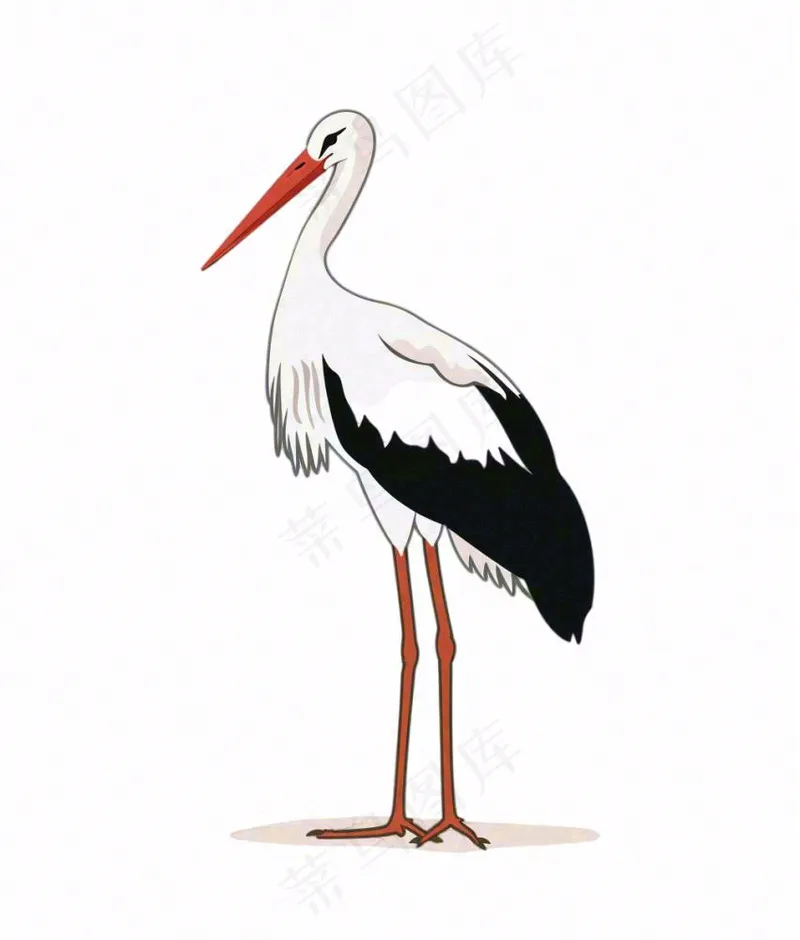 白鹤白鹭鸟国风插画免抠(1008x1184)