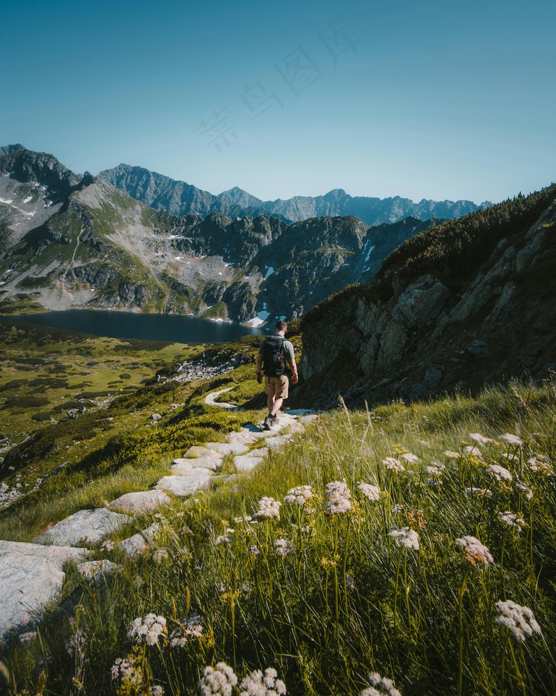 高山草甸上的徒步旅行者