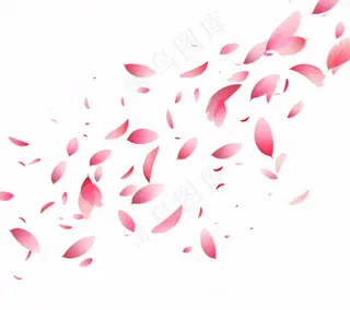 花瓣桃花樱花飘零插画免抠