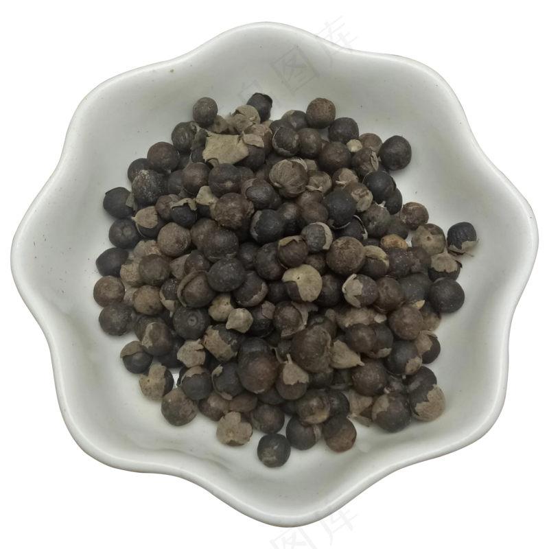 蔓荆子免扣摄影