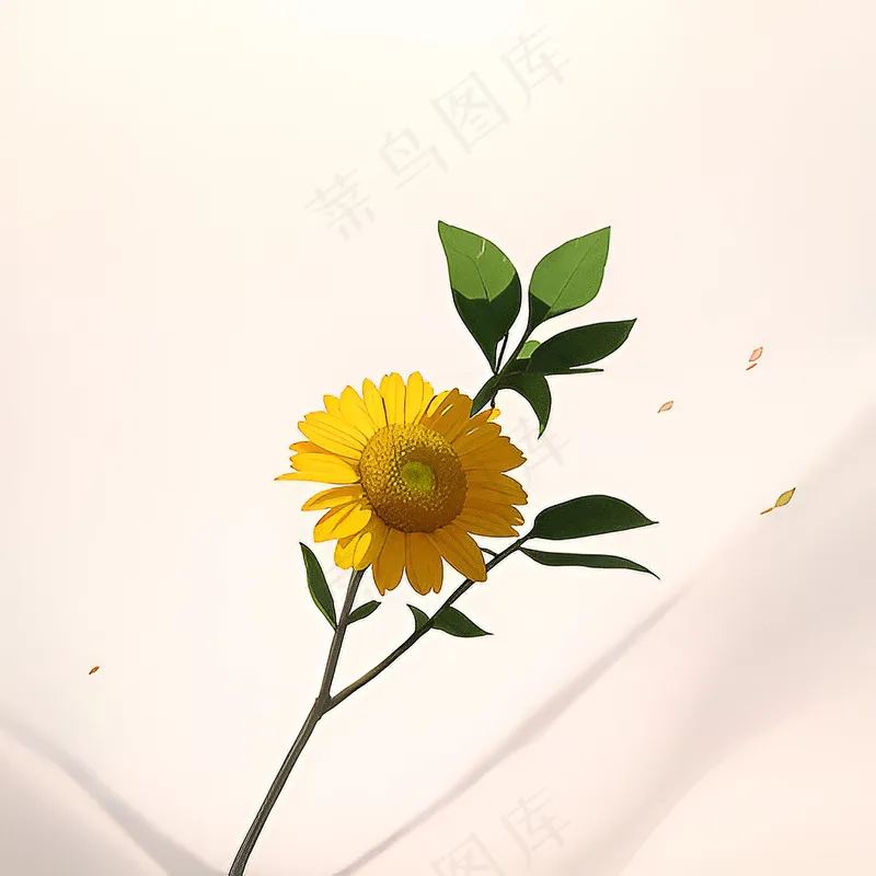 白色黄色手绘新中式风格花植物175