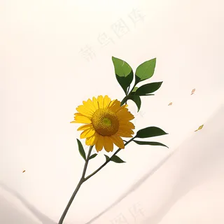 白色黄色手绘新中式风格花植物175 白色黄色手绘新中式风格花植物175