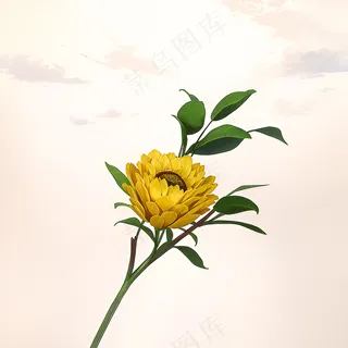 白色黄色手绘新中式风格花植物100 白色黄色手绘新中式风格花植物100