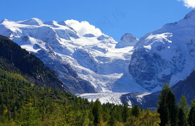 雪山下的森林