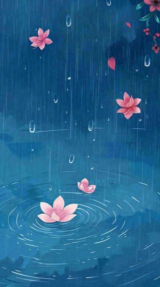 雨天雨滴低落水面泛起涟漪粉色花朵雨水谷雨寒露背景