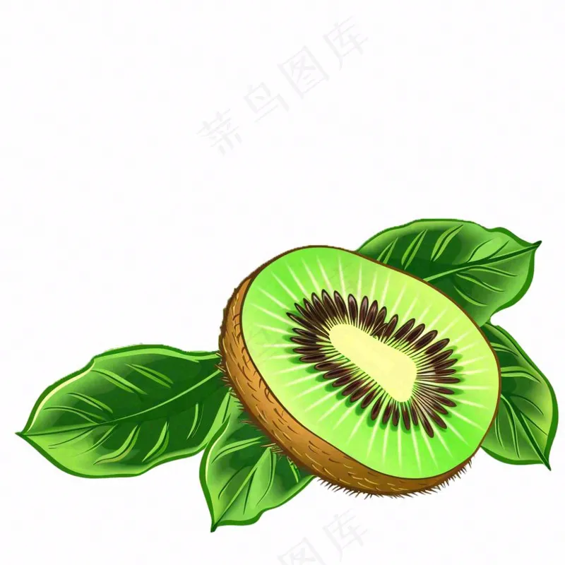 猕猴桃水果卡通插画免抠(1024x1024)