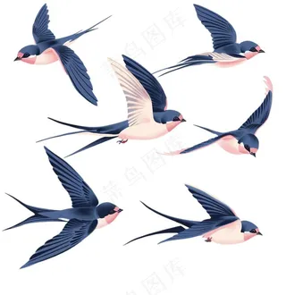 大雁燕子春天鸟元素卡通插画免抠