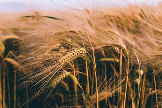 湖泊山峰图片