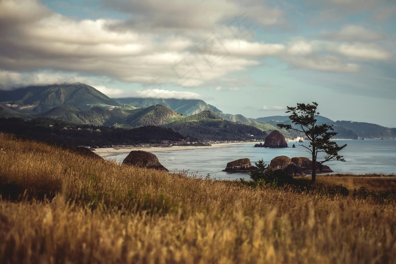 金色草甸与迷雾山谷的海岸线
