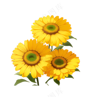 黄色向日葵花朵免抠素材67