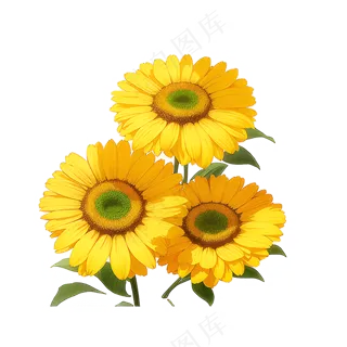黄色向日葵花朵免抠素材67