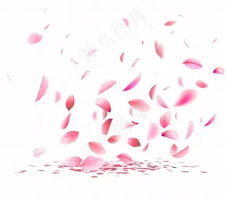 花瓣桃花樱花飘零插画免抠