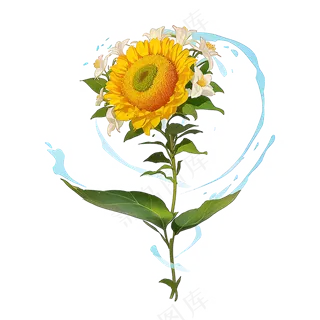 黄色向日葵免抠素材110