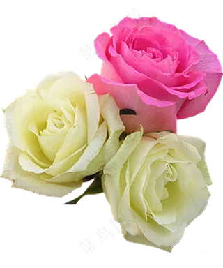 清新花朵背景114免扣图片