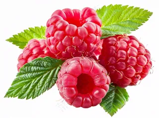 树莓水果摄影图免抠