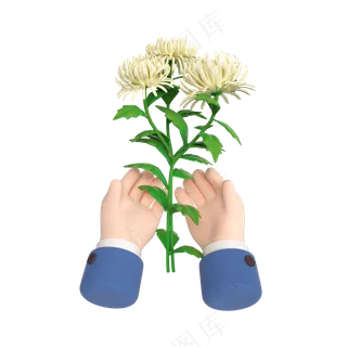 立体清明节手捧菊花