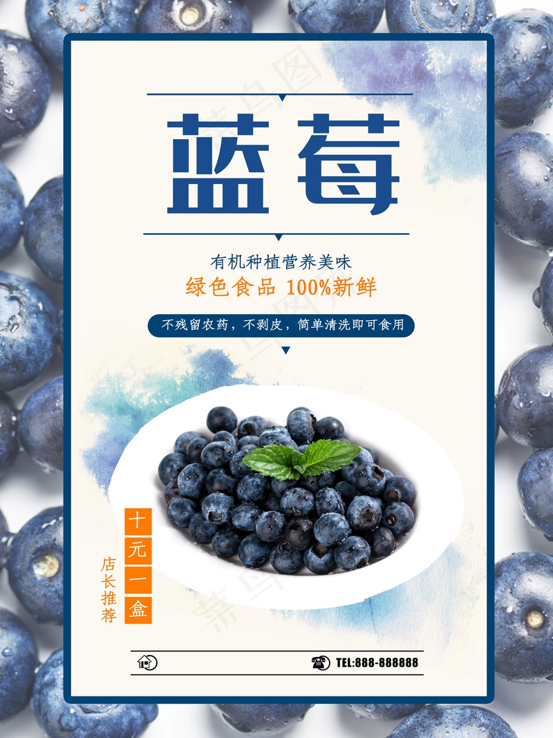 新鲜蓝莓海报psd模版下载