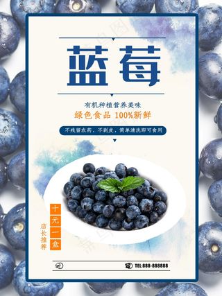 新鲜蓝莓海报