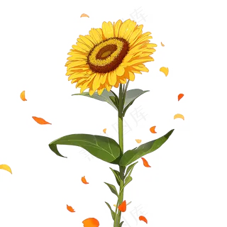 黄色向日葵免抠素材71