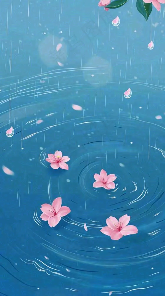 雨天雨滴低落水面泛起涟漪粉色花朵雨水谷雨寒露背景(816x1456)