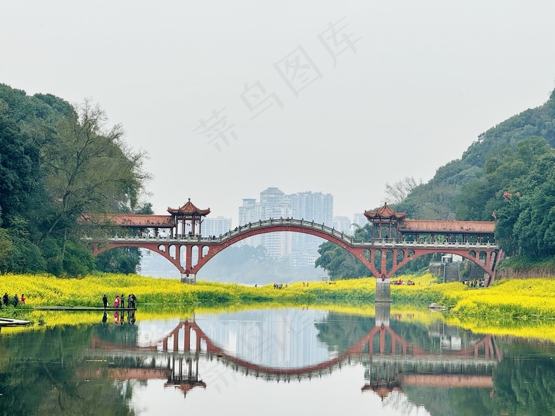 壕上大桥 油菜花