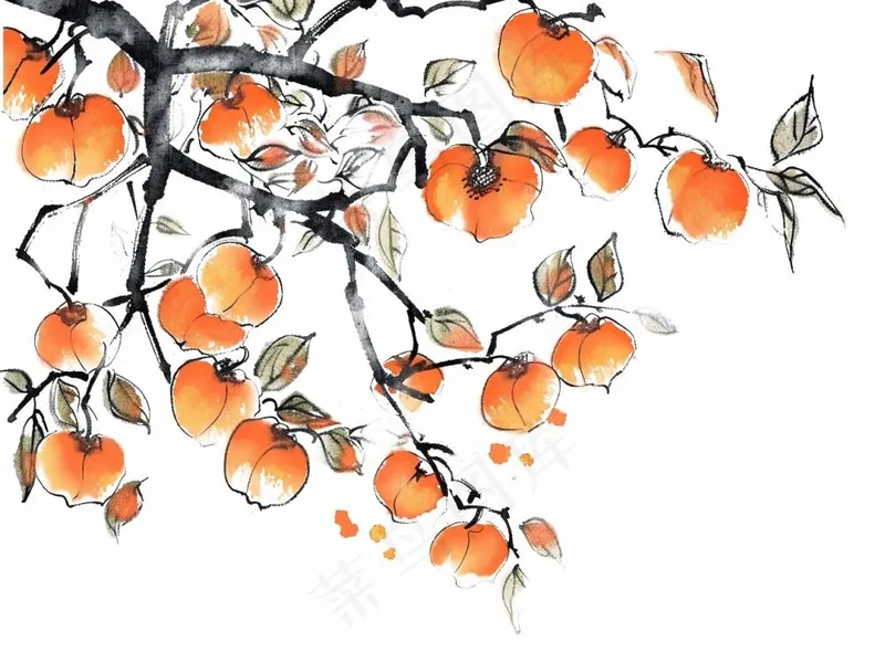 柿子杏树水墨画中国风插画免抠(1280x944)
