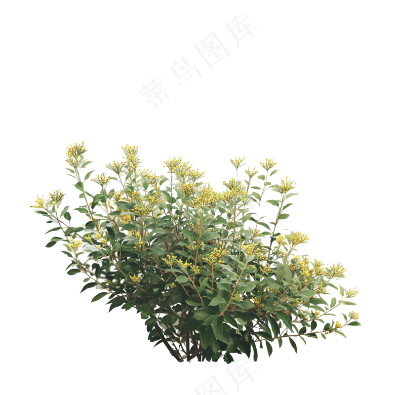 免抠开花灌木