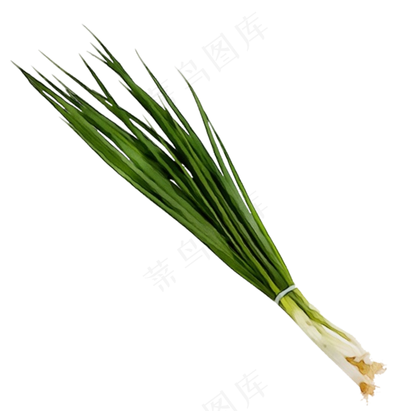 免抠一捆小葱