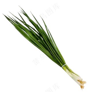 免抠一捆小葱