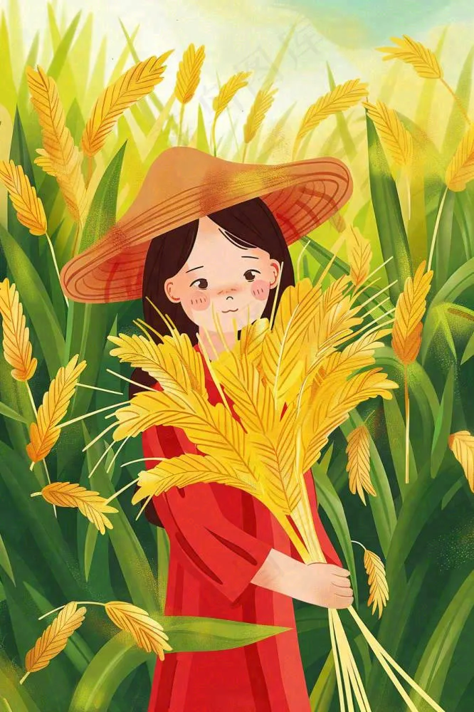 丰收季女孩抱着麦穗金黄的小麦稻穗农田芒种小满秋分立秋卡通插画背景(896x1344)