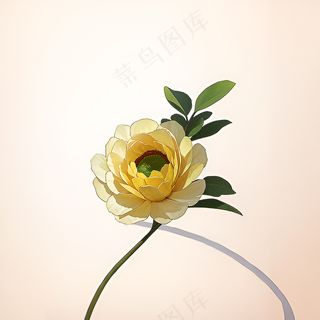 白色黄色手绘新中式风格花植物121